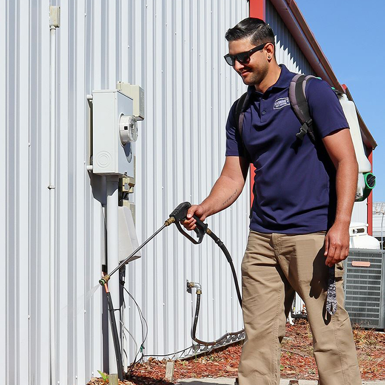 pest-control image Pest Control image